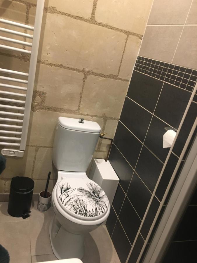 Vieux Tours, Charmant T2 40M2, 4 Pers, Lumineux Zewnętrze zdjęcie